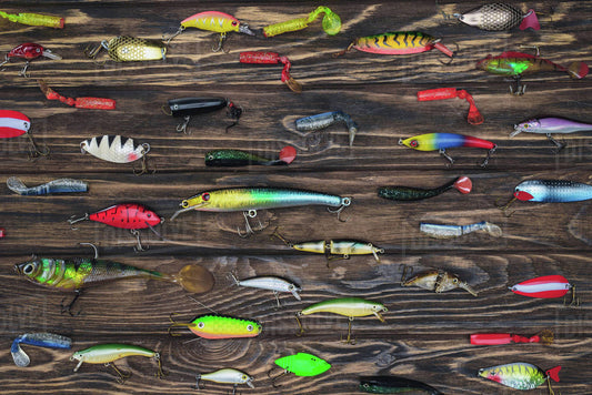 How to Choose the Right Fishing Lure: A Beginner’s Practical Guide