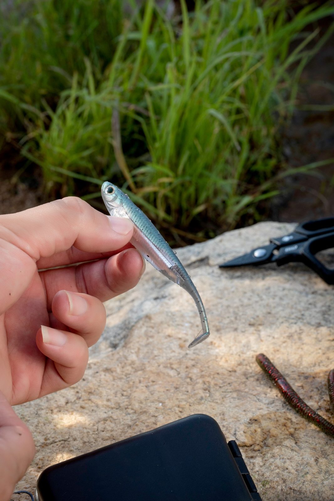 Backup Kit Refill – Finesse Worm & Soft Bait